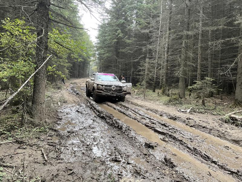 1841721_115_04_29_800_600