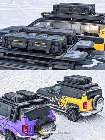 Arcane Warrior Roof Platform Rack