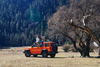 Great Wall GWM Tank 300 SUV