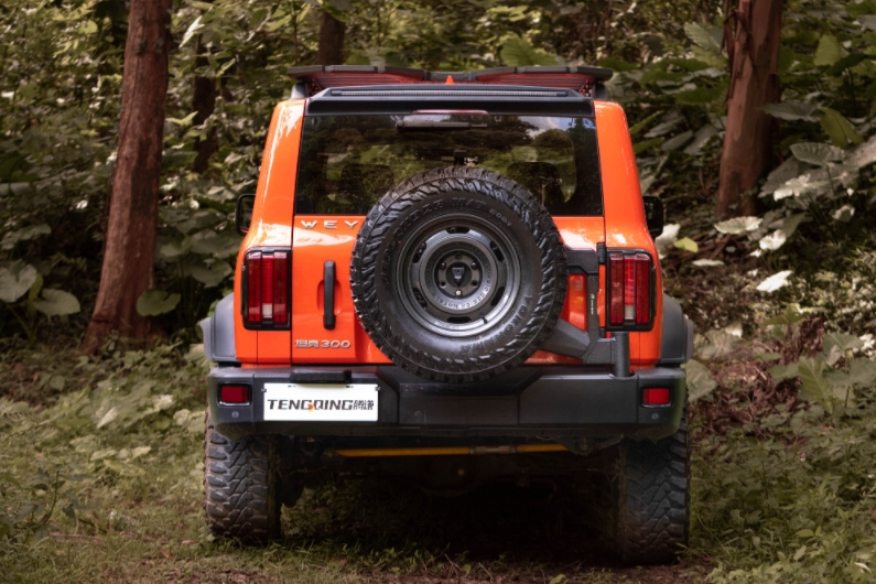 WEY Tank 300 Hinged Spare Tire Carrier (7)