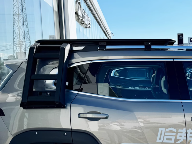 GWM Haval H7 Side Ladder