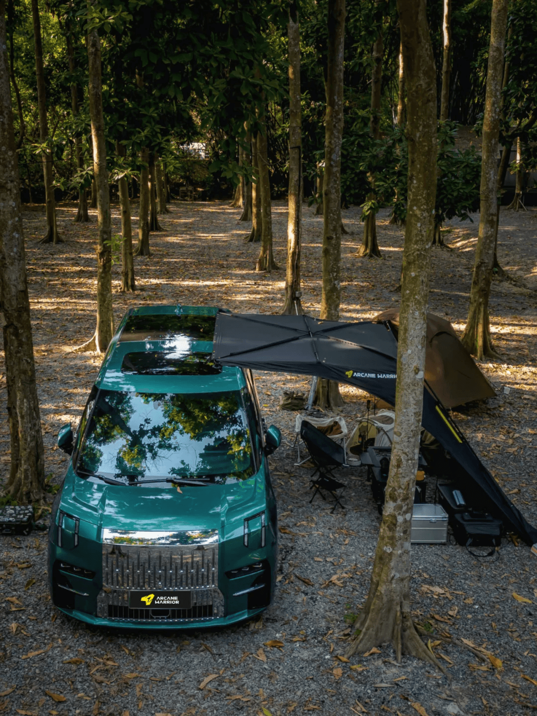 Arcane Warrior LANDING Car Side Canopy AIR