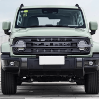 GWM Tank 300 Stalker Grille