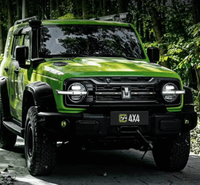 GWM Tank 300 Mecha Wings Y+ Grille