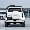GWM TANK 500 HEV Side Ladder TOPFIRE 