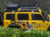 GWM Tank 300 TUFF FAB Uncia Roof Rack Classic Edition Side Ladder Tank 400 500