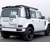 CHERY iCAR 03 Side Ladder