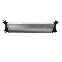 GMW AC Radiator Engine Intercooler for TANK 300 1119105XKM01A 
