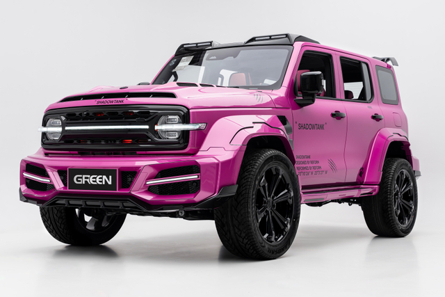Tank 300 Shdow kit pink (2)