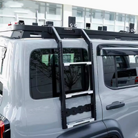 GWM TANK 300 Landace Side Ladder