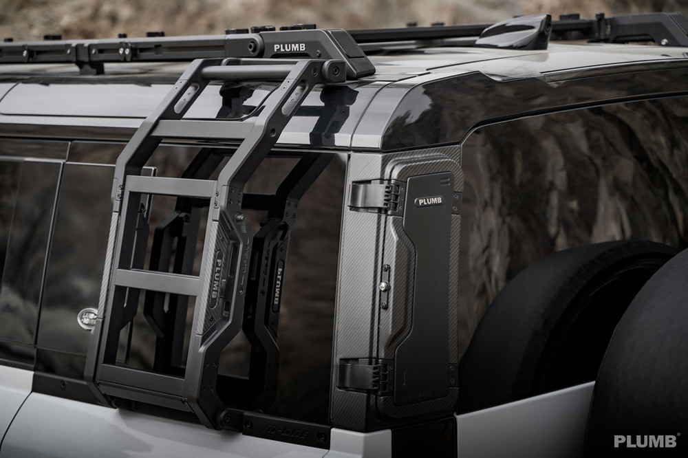 Land rover defender online ladder 2020