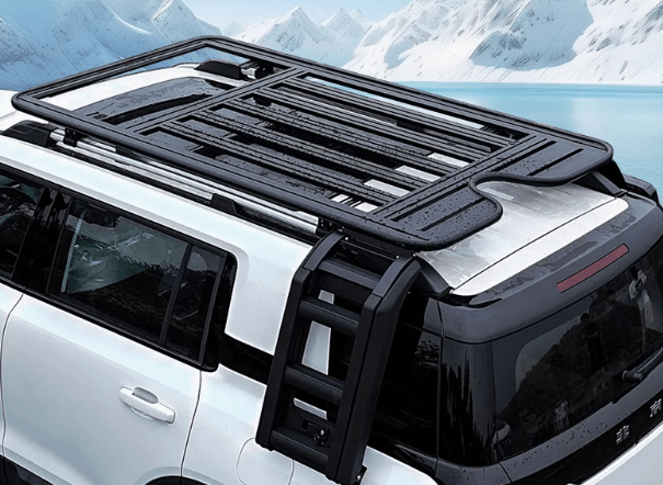 Tank 500 Roof rack