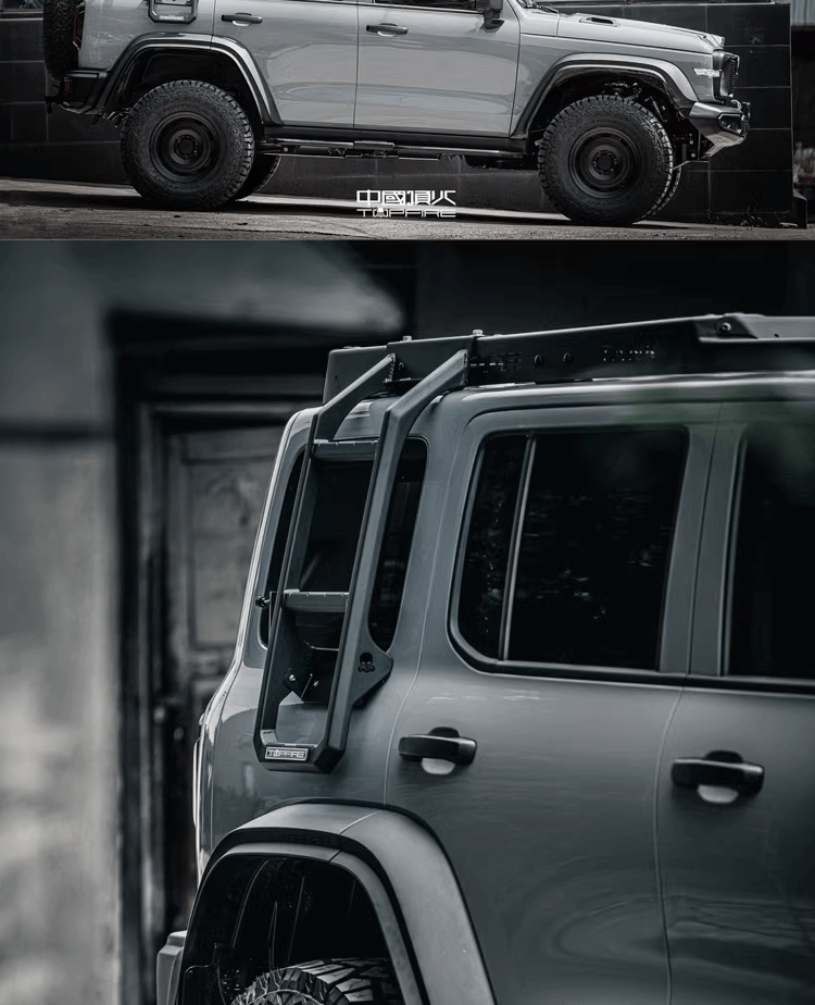 Tank 300 roof rack ladder