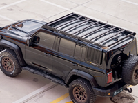 GWM Tank 300 TUFF FAB Uncia Roof Rack Classic Edition Side Ladder Tank 400 500