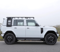 CHERY iCAR 03 Side Ladder