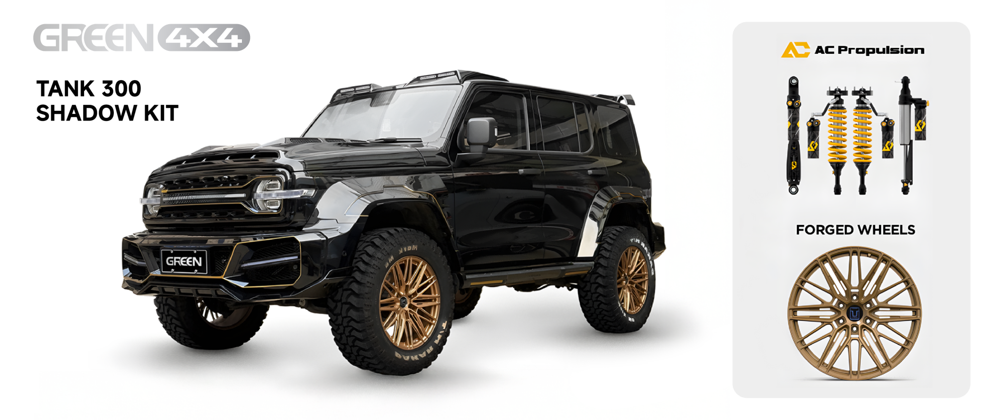 TANK 300 SHADOW BODY KIT