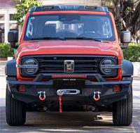 GWM Tank 300 HEV Hybrid Winbo Fly Star Front Bumper