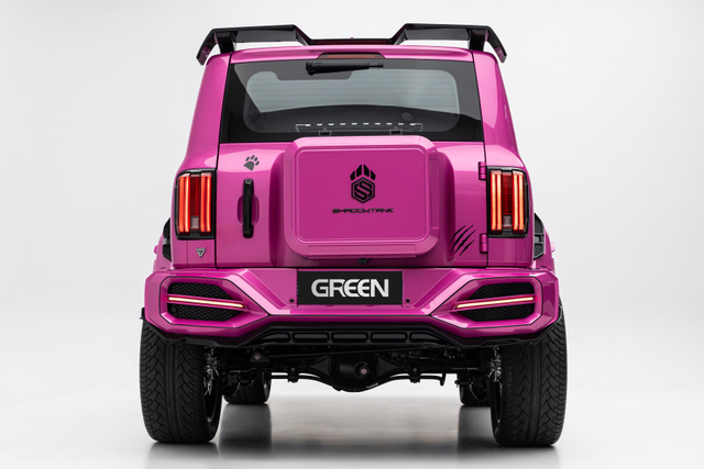 Tank 300 Shdow kit pink (3)