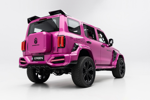 Tank 300 Shdow kit pink (4)